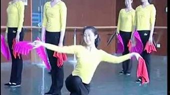 成人花鼓灯舞蹈视频教学,成人舞蹈教学视频解析