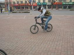 成人踩双人单车视频,共享运动时光的温馨瞬间