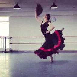 成人舞蹈剧目合集视频下载,成人舞蹈剧目合集视频深度解析