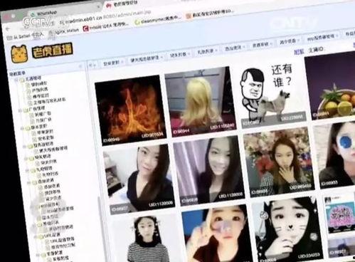 成人网成人免费视频,带你探索成人娱乐的奥秘